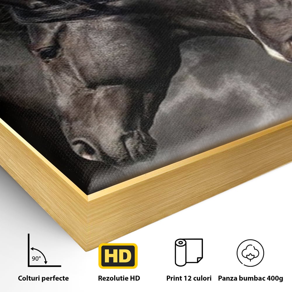 Detaliu al suprafetei: tablou canvas cu trei cai negri in galop, in rama de aluminiu auriu